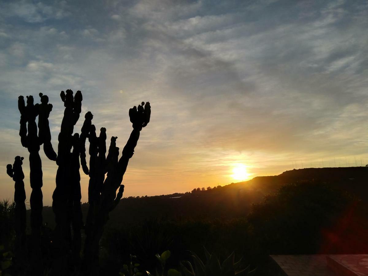 *****Finca Bella Vista Arucas Zewnętrze zdjęcie